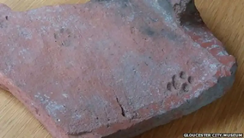 Ученые нашли отпечаток кошачьей лапы древнеримской эпохи