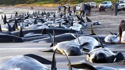 Zakon.kz, фото - Новости Zakon.kz от 13.02.2015 18:20