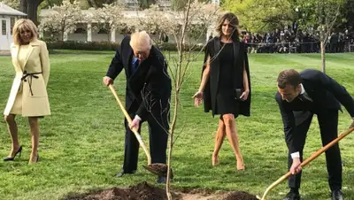 Sky News, фото - Новости Zakon.kz от 09.06.2019 05:56