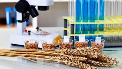 Зернокорм, фото - Новости Zakon.kz от 01.03.2018 00:28