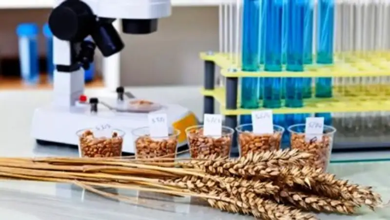 Алматинские санврачи проверили качество муки в магазинах