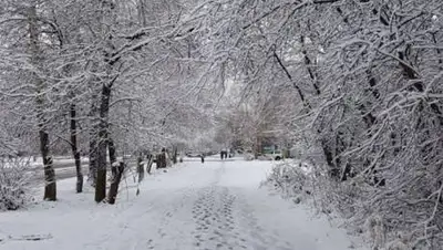 КТК, фото - Новости Zakon.kz от 20.01.2021 13:02