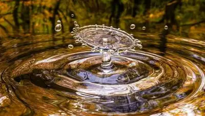 pixabay.com, фото - Новости Zakon.kz от 05.10.2021 21:32