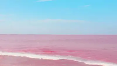 ainews.kz, фото - Новости Zakon.kz от 21.07.2020 17:07