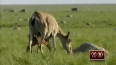 Zakon.kz, фото - Новости Zakon.kz от 23.05.2015 18:01