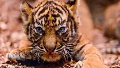 Zakon.kz, фото - Новости Zakon.kz от 08.09.2017 11:42