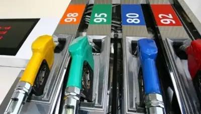 Zakon.kz, фото - Новости Zakon.kz от 03.06.2015 17:55