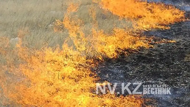 В Карагандинской обл жители Жанааркинского района самостоятельно потушили степной пожар