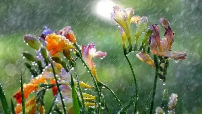 Zakon.kz, фото - Новости Zakon.kz от 22.05.2017 12:00