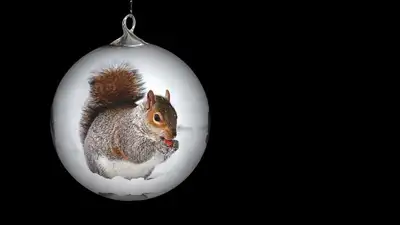 Чтоб пришел кролик, а не "белка": нарколог поделился советами для новогоднего застолья, фото - Новости Zakon.kz от 31.12.2022 12:00