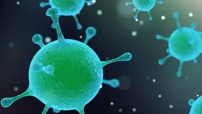 Pixabay, фото - Новости Zakon.kz от 30.01.2020 08:47