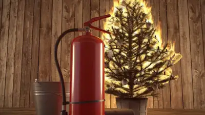 forumdaily.com, фото - Новости Zakon.kz от 05.01.2020 16:27