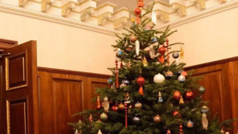 Какая елка установлена в кабинете Путина