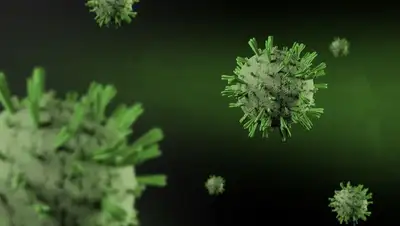 омикрон, шипы, ученые, проникать, фото - Новости Zakon.kz от 23.01.2022 23:01
