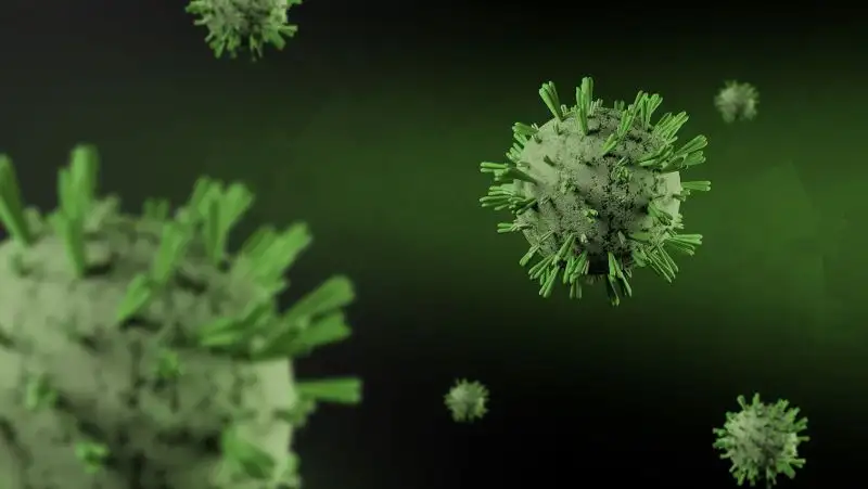 Канадские ученые рассказали, как «Омикрон» проникает в клетки