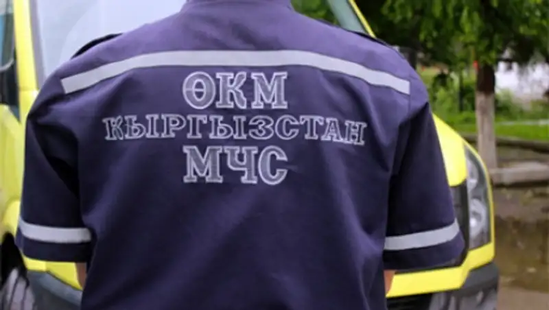 Восемь человек на юге Киргизии госпитализированы с подозрением на сибирскую язву