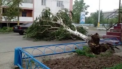 Zakon.kz, фото - Новости Zakon.kz от 24.05.2017 16:31