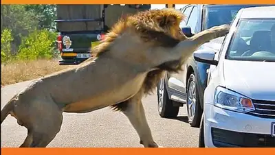 Zakon.kz, фото - Новости Zakon.kz от 10.11.2017 00:01