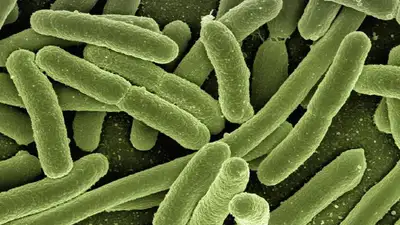 ИИ борьба с бактерией, фото - Новости Zakon.kz от 26.05.2023 15:58