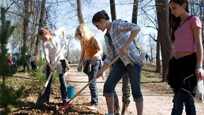 Зеленый фонд Центрального парка культуры и отдыха пополнится на 210 деревьев