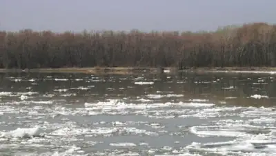 Zakon.kz, фото - Новости Zakon.kz от 13.04.2017 21:29