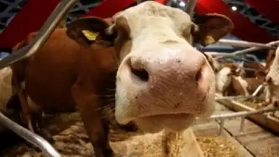 Zakon.kz, фото - Новости Zakon.kz от 13.12.2016 15:24