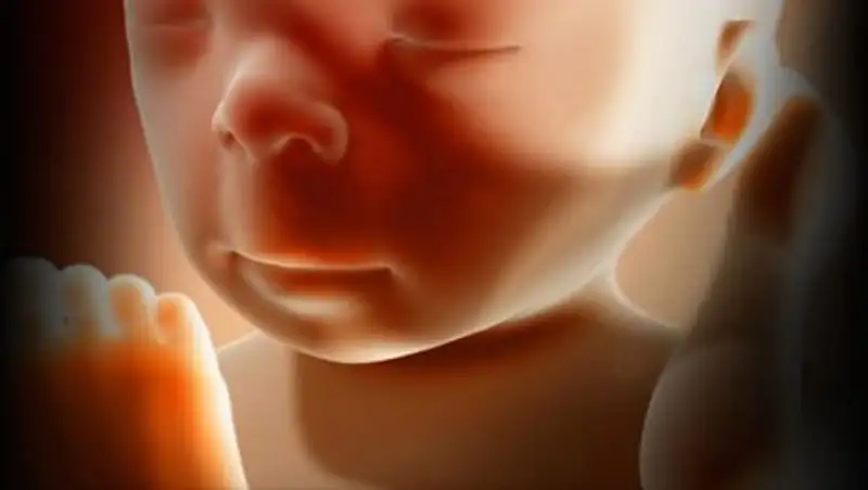 Мертвого недоношенного младенца обнаружили в одном из дворов в Павлодаре