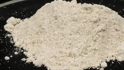 из открытых источников, фото - Новости Zakon.kz от 11.03.2018 17:58