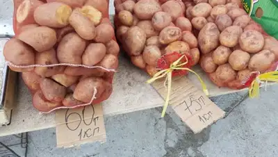 Zakon.kz, фото - Новости Zakon.kz от 04.09.2017 18:16