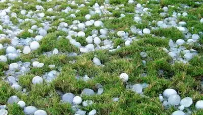 Zakon.kz, фото - Новости Zakon.kz от 03.07.2015 13:11