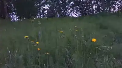 Zakon.kz, фото - Новости Zakon.kz от 27.05.2014 16:41