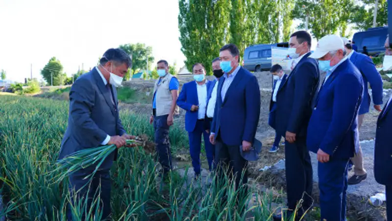 Чем закончилась рабочая поездка премьер-министра РК в Жамбылскую область