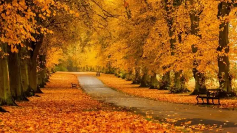 До 17 градусов похолодает в Казахстане