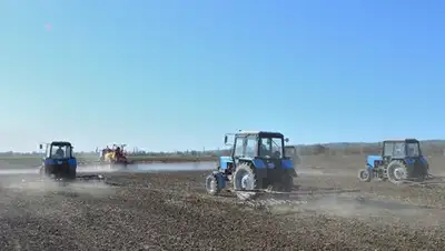 Zakon.kz, фото - Новости Zakon.kz от 01.11.2017 13:15