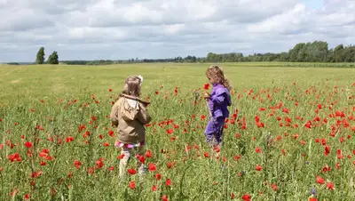 Как в Казахстане решают спор о детях во время развода, фото - Новости Zakon.kz от 25.08.2022 13:18