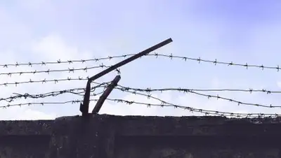 Pixabay, фото - Новости Zakon.kz от 29.04.2020 17:47