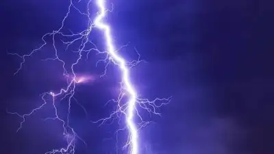 pixabay.com, фото - Новости Zakon.kz от 24.06.2021 15:51