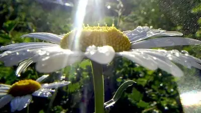 Zakon.kz, фото - Новости Zakon.kz от 14.08.2015 22:51