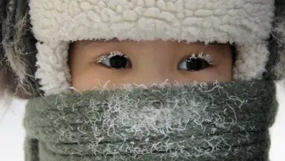 medspecial, фото - Новости Zakon.kz от 27.01.2020 06:35