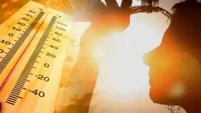 Версия.Инфо, фото - Новости Zakon.kz от 22.07.2021 17:16