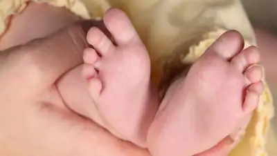 Zakon.kz, фото - Новости Zakon.kz от 04.10.2017 17:15