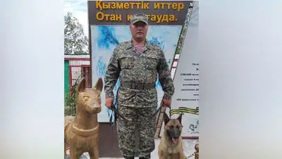 собака, фото - Новости Zakon.kz от 01.06.2022 20:01