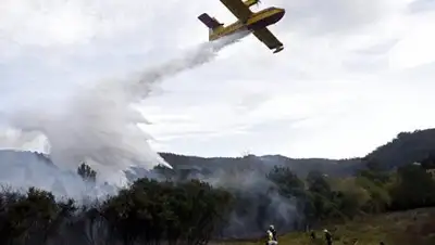 Zakon.kz, фото - Новости Zakon.kz от 11.08.2016 21:27