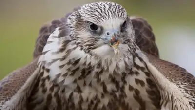 Zakon.kz, фото - Новости Zakon.kz от 21.10.2015 15:23