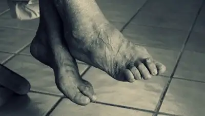 © Pixabay / tatlin, фото - Новости Zakon.kz от 16.07.2018 18:10