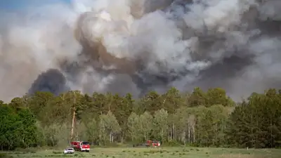 специалисты обсудили масштабы лесных пожаров в Абайской области, фото - Новости Zakon.kz от 14.06.2023 20:25