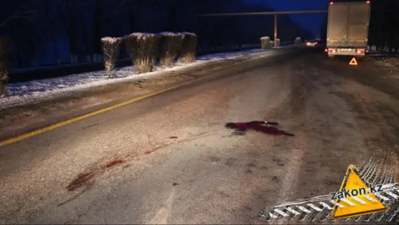 Был одет во все черное - фура снесла мужчину на трассе Алматы - Бишкек