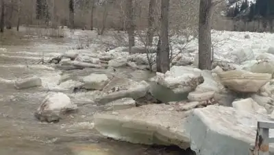 ДЧС ВКО, фото - Новости Zakon.kz от 24.03.2018 12:22