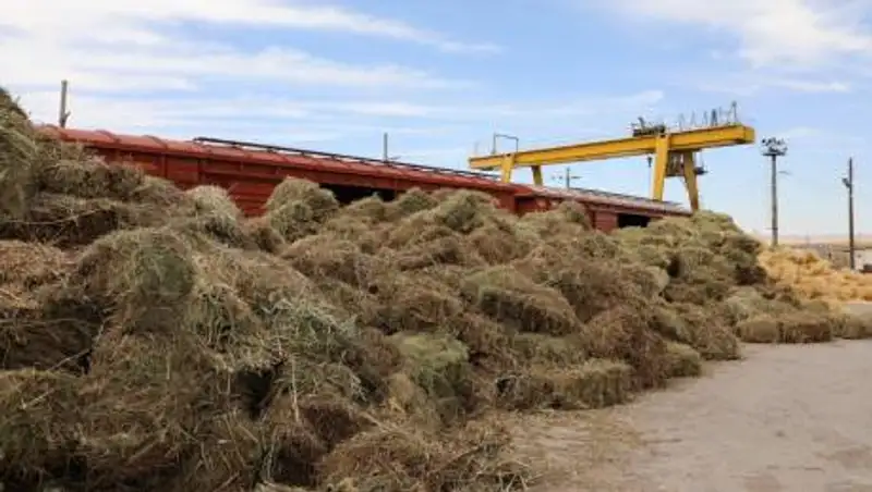 33 вагона сена отправили из Туркестанской области фермерам западных регионов страны