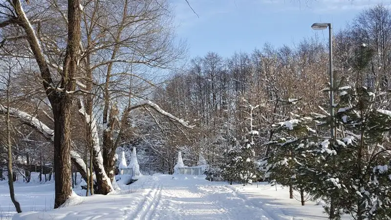 Синоптики рассказали, какой будет погода в Казахстане 8 декабря